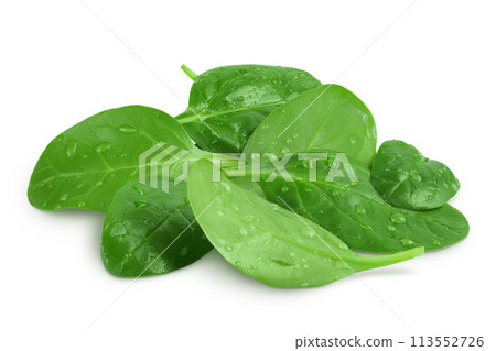 Baby spinach leaves isolated on white background Baby spinach leaves isolated on white background 113552726