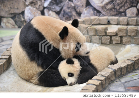 Ryohama Mama relaxing with her child Ryohama Mama relaxing with her child 113553489