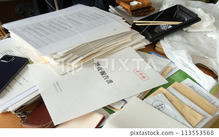 調查報告與文件混合在一起。 113553568