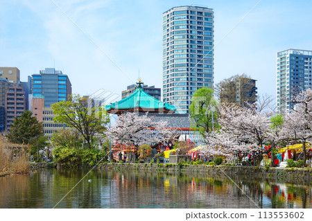 Bentendo Hall and cherry blossoms in full bloom at Shinobazu Pond in Ueno Bentendo Hall and cherry blossoms in full bloom at Shinobazu Pond in Ueno 113553602