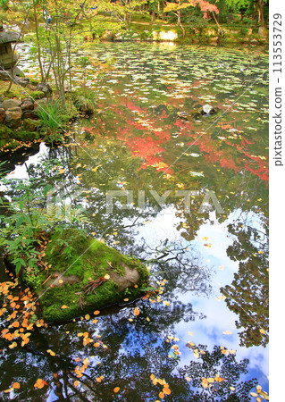 京都南禪寺天壽庵的秋葉 113553729