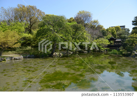 Spring Wataruen Garden Yin Yue Pond Shimogyo Ward, Kyoto City 113553907