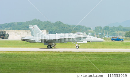 美國海軍 F/A-18C 大黃蜂滑行 113553919