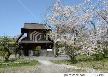Spring in Shosei-en Garden: Cherry blossoms and the Hokakakaku in the grounds, Shimogyo Ward, Kyoto City Spring in Shosei-en Garden: Cherry blossoms and the Hokakakaku in the grounds, Shimogyo Ward, Kyoto City 113553983