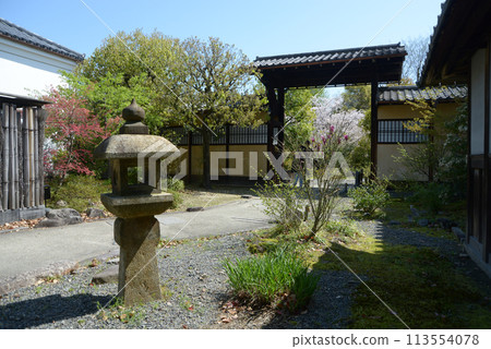 Spring at Shosei-en Garden, entrance gate, Shimogyo Ward, Kyoto City Spring at Shosei-en Garden, entrance gate, Shimogyo Ward, Kyoto City 113554078