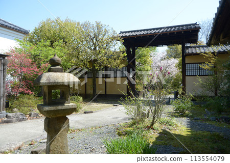 Spring at Shosei-en Garden, entrance gate, Shimogyo Ward, Kyoto City Spring at Shosei-en Garden, entrance gate, Shimogyo Ward, Kyoto City 113554079