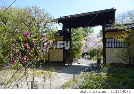 Spring at Shosei-en Garden, entrance gate, Shimogyo Ward, Kyoto City 113554081