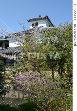 Shosei-en in spring, building next to the Enrin-do temple, Shimogyo Ward, Kyoto City 113554181