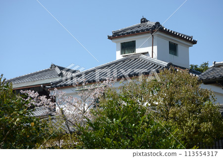 Shosei-en in spring, building next to the Enrin-do temple, Shimogyo Ward, Kyoto City 113554317