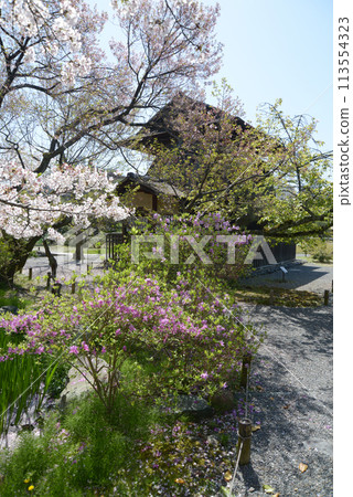 Spring in Shosei-en Garden, Hokakekaku and cherry blossoms, Shimogyo Ward, Kyoto City Spring in Shosei-en Garden, Hokakekaku and cherry blossoms, Shimogyo Ward, Kyoto City 113554323