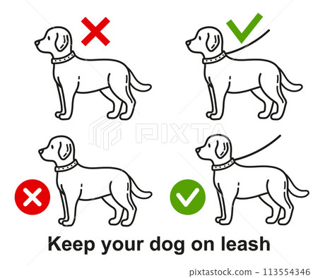 Dog walking with leash allowed, person keep doggy pet on lead in public park zone line icon set. Prohibition sign canine domestic animal stroll outdoor without collar. Labrador puppy training vector 113554346