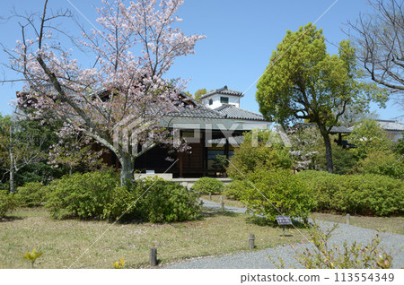 Spring Wataruen Garden, Onrin-do, Shimogyo-ku, Kyoto Spring Wataruen Garden, Onrin-do, Shimogyo-ku, Kyoto 113554349