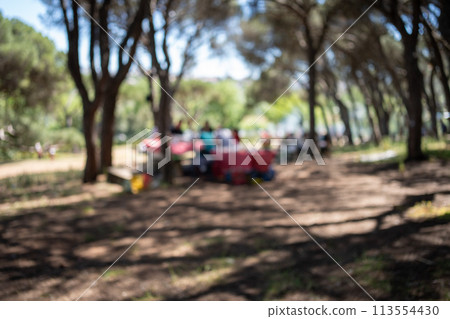 Blurred shot people enjoying picnic in park 113554430