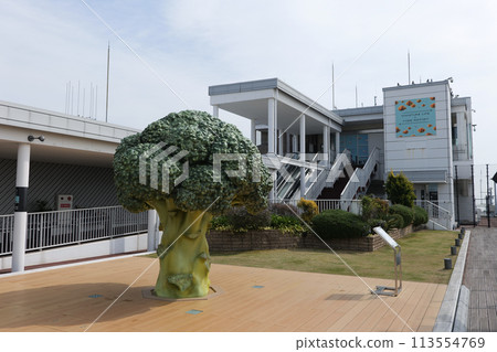 Kobe Airport Hyogo Prefecture 113554769