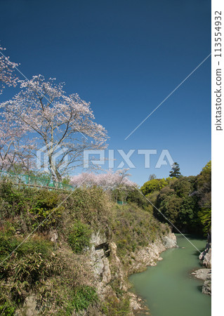 大石公園（露地峽）[大阪府泉佐野市日根野] 113554932