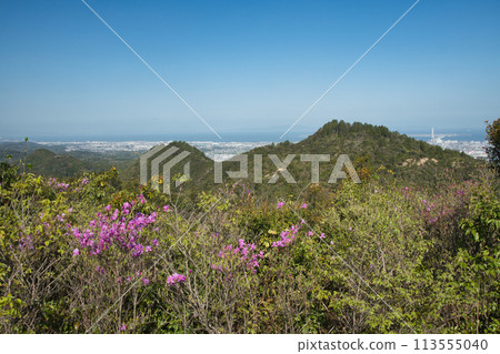 View of Ameyama from the West Hiking Trail [Kumatori Town, Sennan District, Osaka Prefecture] 113555040
