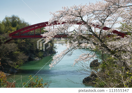 睿山寺橋【奈良縣五條市】 睿山寺橋【奈良縣五條市】 113555347