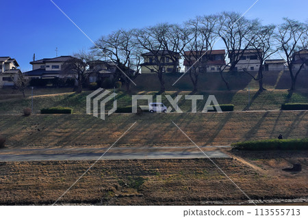 Cityscape Cityscape 113555713