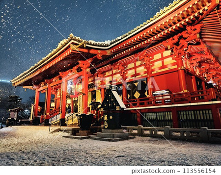 雪天的淺草寺(本殿) 雪天的淺草寺(本殿) 113556154