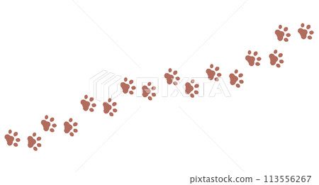 Animal footprints, paw prints Animal footprints, paw prints 113556267
