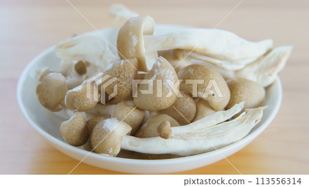 Shimeji mushrooms with white mold-like growths (aerial mycelium) 113556314