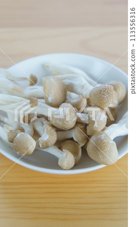 帶有白色黴菌狀物質(氣生菌絲體)的姬路 帶有白色黴菌狀物質(氣生菌絲體)的姬路 113556316