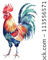 Watercolor Painting of Rooster, isolated on White Background. AI generated Illustration. 113556571