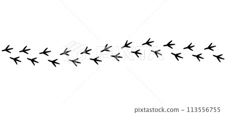 Bird's footprint 113556755