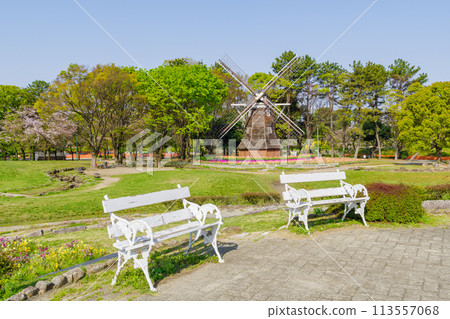 春天名城公園的白色長椅和風車（名古屋市北區） 113557068