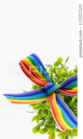 Plants and rainbow ribbons Sustainable Development Goals SDGs image material Plants and rainbow ribbons Sustainable Development Goals SDGs image material 113557123