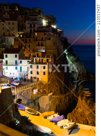 Manarola in evening lights 113557437