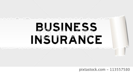 Ripped gray paper background that have word business insurance under torn part Ripped gray paper background that have word business insurance under torn part 113557580