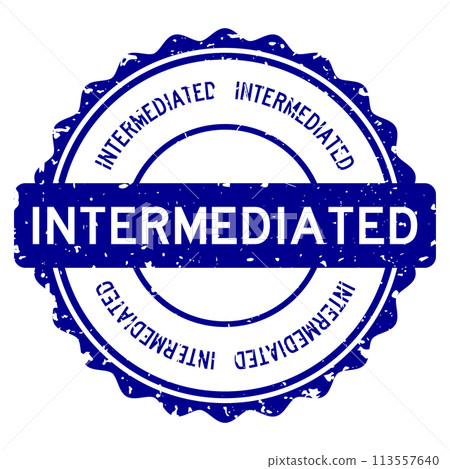 Grunge blue intermediated word round rubber seal stamp on white background Grunge blue intermediated word round rubber seal stamp on white background 113557640