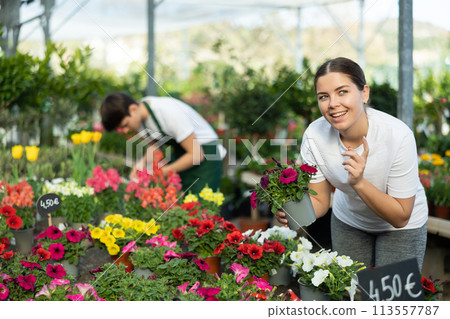 Young girl choosing blooming potted petunias in garden store Young girl choosing blooming potted petunias in garden store 113557787