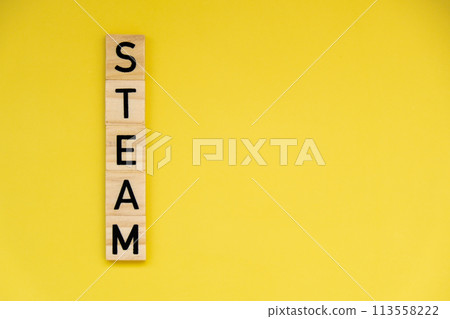 STEAM inscription. Science Technology Engineering Arts Mathematics. Concept of education innovation for student at school and homeschool. Text word 113558222