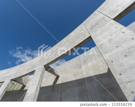 Ruins of concrete Ruins of concrete 113558259