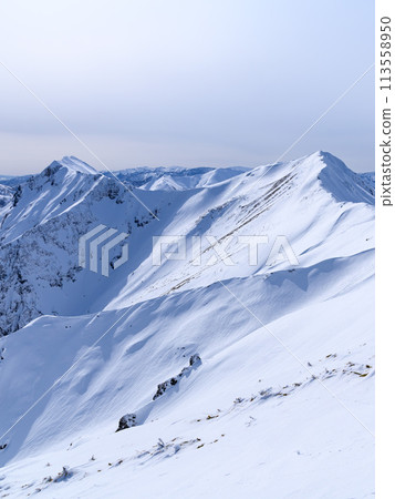 冬天從谷川山和天神嶺看到的主嶺山脈 113558950