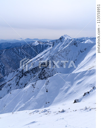 The main ridge of Mt. Tanigawa in winter as seen from Tenjin Ridge 113558951