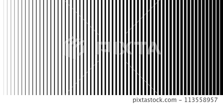 Lined halftone gradation texture. Fading vertical stripe gradient background. Repeating pattern backdrop. Black halftone parallel lines backdrop for overlay, print, cover, graphic design. Vector 113558957