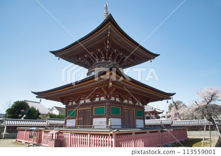 Kumeda Temple (Tahoto Pagoda) [Kishiwada City, Osaka Prefecture] 113559001