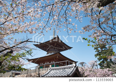 Kumeda Temple (Tahoto Pagoda) [Kishiwada City, Osaka Prefecture] 113559003