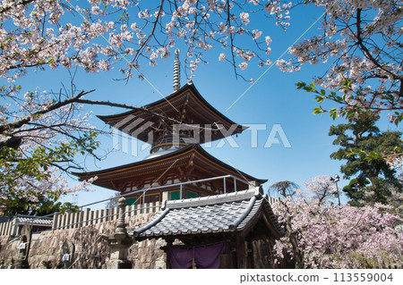 Kumeda Temple (Tahoto Pagoda) [Kishiwada City, Osaka Prefecture] 113559004