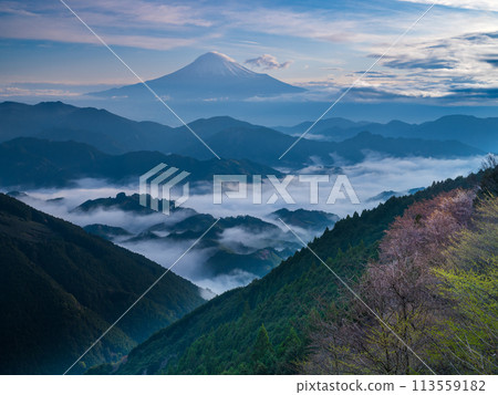 View of the mountain ranges with cherry blossoms and Mt. Fuji from Shimizu Yoshiwara View of the mountain ranges with cherry blossoms and Mt. Fuji from Shimizu Yoshiwara 113559182