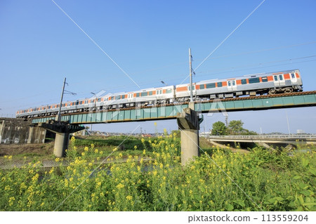 Taketoyo Line, 315 series 3000 train crossing the Ishigase River Bridge Taketoyo Line, 315 series 3000 train crossing the Ishigase River Bridge 113559204