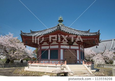 Kumeda Temple (Seireiden) [Kishiwada City, Osaka Prefecture] 113559208