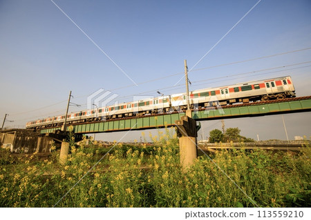 JR Central 315 series train crossing the Ishigase River Bridge in the morning sun 113559210