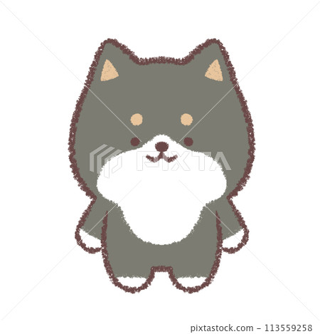 Black Shiba Inu standing pose 113559258