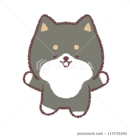 Black Shiba Inu is happy posing 113559260