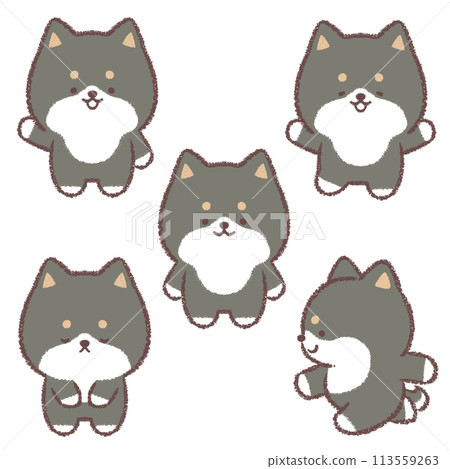 黑色柴犬變異套裝 113559263