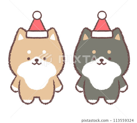 Shiba Inu and black Shiba Inu wearing Santa hats 113559324